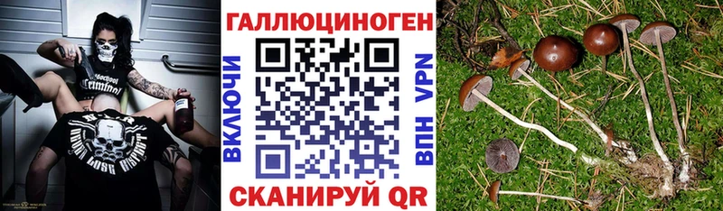 Псилоцибиновые грибы Magic Shrooms  Алзамай 